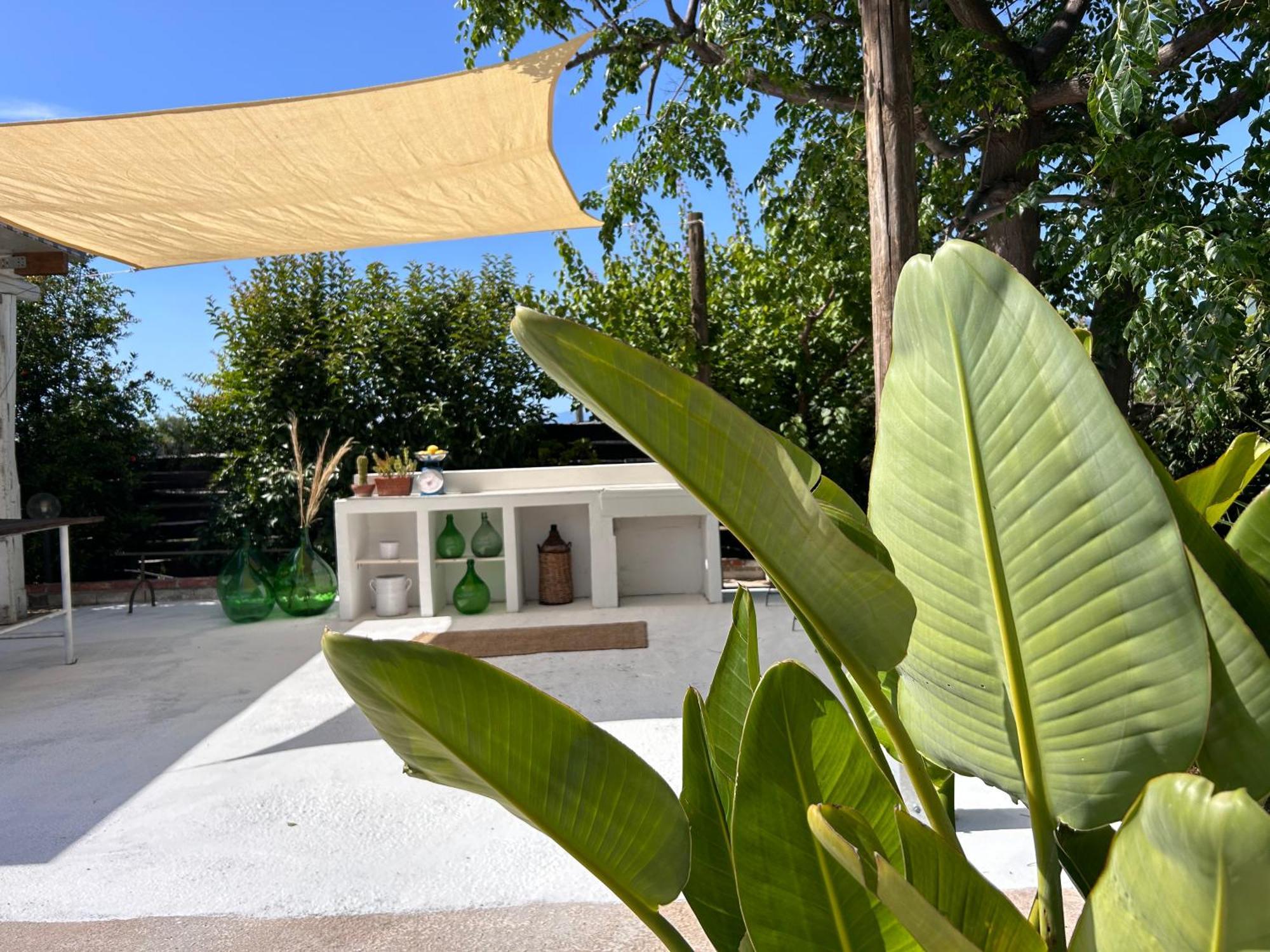 87029House Guest House Scalea Exterior photo